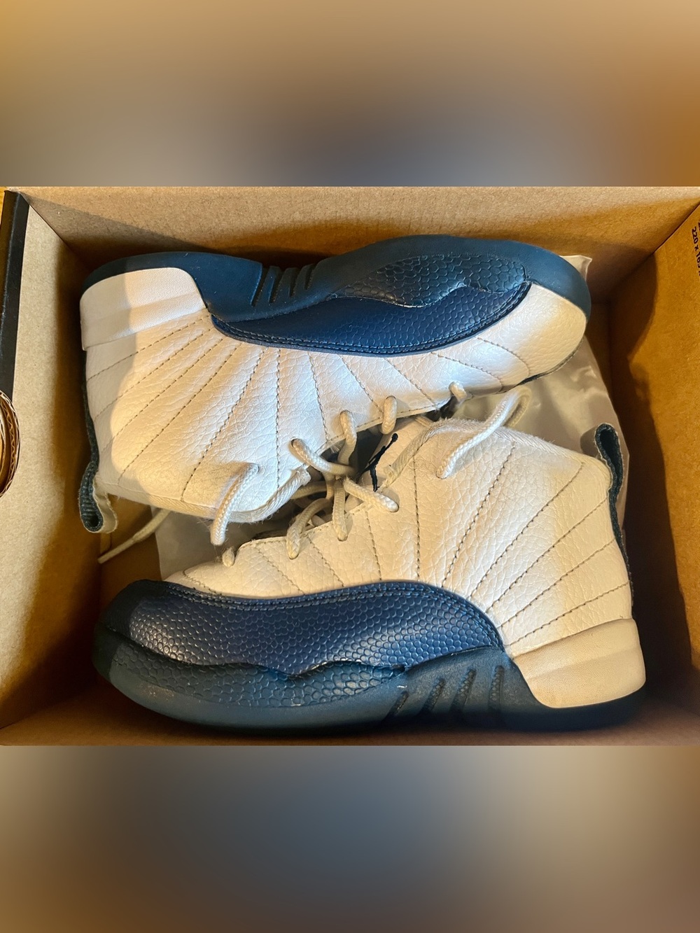 Kids Jordan 12 Retro size 10C